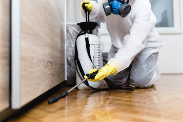 Best Pest Removal Services  in Blue Rapids, KS