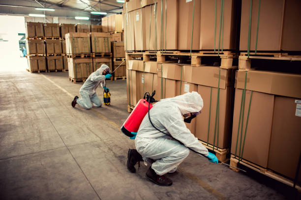Best Termite Control Services  in Blue Rapids, KS