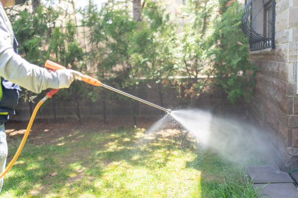 Best Emergency Pest Control  in Blue Rapids, KS