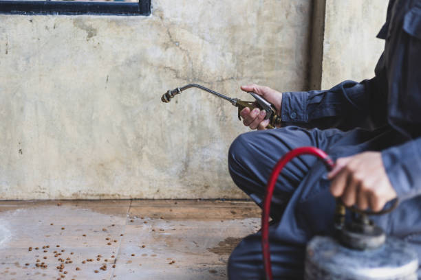 Best Affordable Pest Control Services  in Blue Rapids, KS