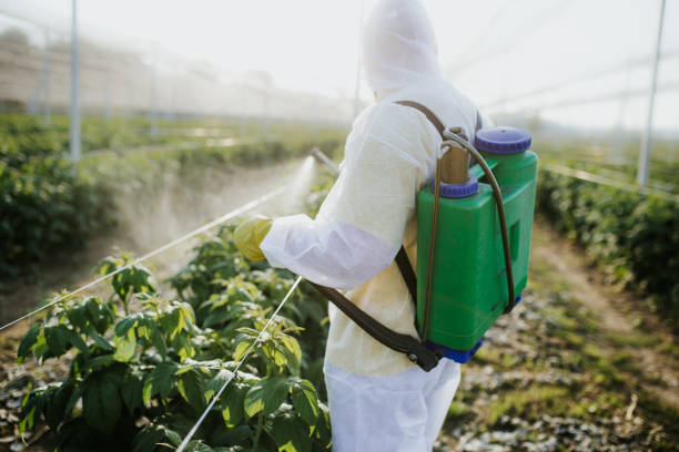 Best Affordable Pest Control Services  in Blue Rapids, KS